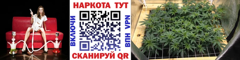 Продажа наркотиков Губкин ГАШИШ  Канабис  ГЕРОИН  Мефедрон 