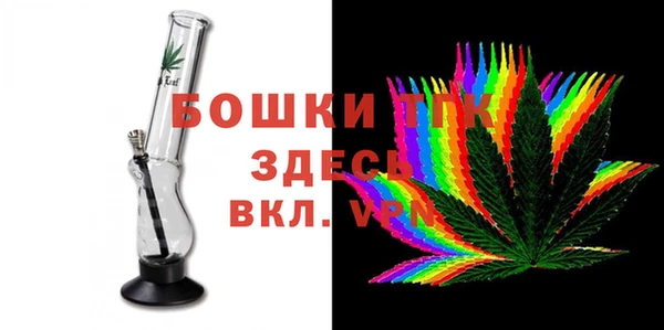 стаф Балахна