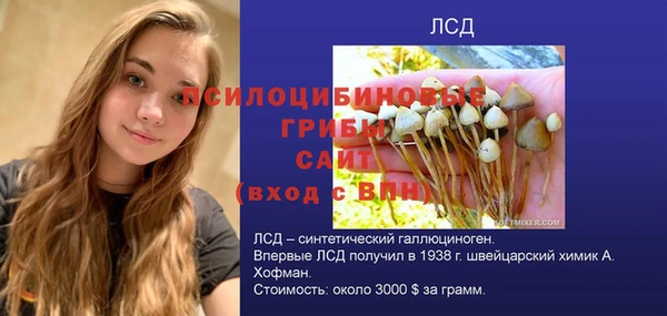 сатива Баксан