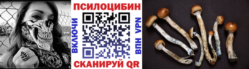 закладки  Губкин  Галлюциногенные грибы мухоморы 